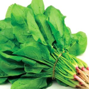 পালং শাক বীজ (Spinach)