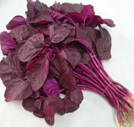 লালশাক বীজ