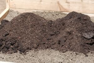 রুফটপ কম্পোস্ট (Roof Compost Mix)