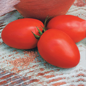 হাইব্রিড টমেটো – ২০ বীজ