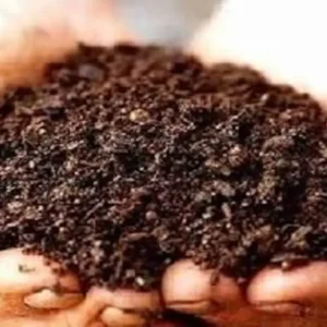 হাই পুষ্টি bio-soil (NanoBio Fertilized Soil)