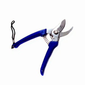 Pruner