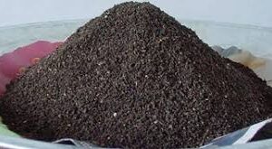  ভার্মি কম্পোস্ট মিক্স সয়েল (Vermi Compost Soil Mix)