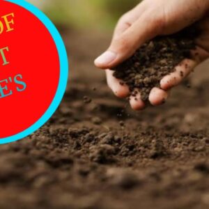 ফলজ গাছের মাটি (Fruit Plant Soil Mix)