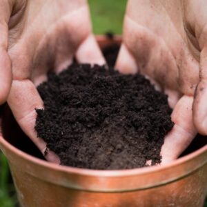 পটিং মিক্স (Premium Potting Mix)