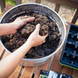  নার্সারি স্টার্টার সয়েল (Seedling Starter Mix)