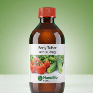 Early Tuber (আগাম আলু)