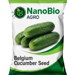 বেলজিয়াম গ্রিন শসা - সুপার হাইব্রিড (Belgium Cucumber Seed)